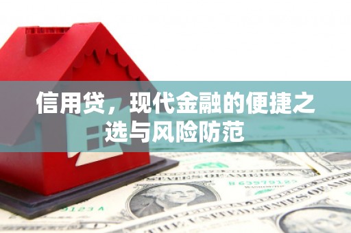 沈丘信用贷，现代金融的便捷之选与风险防范