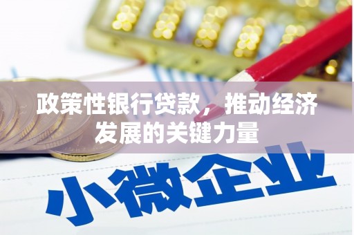 沈丘政策性银行贷款，推动经济发展的关键力量