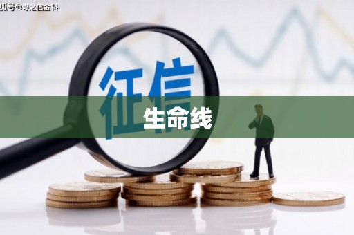 沈丘生命线