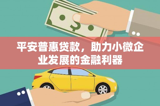 沈丘平安普惠贷款，助力小微企业发展的金融利器