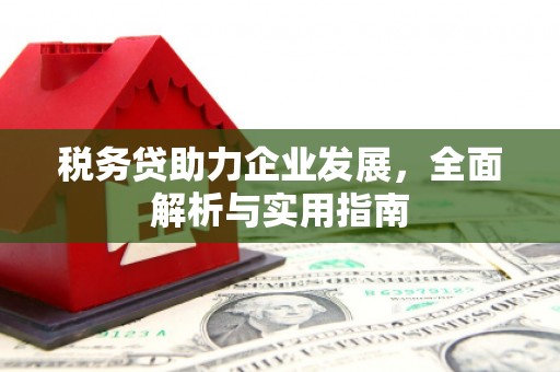 沈丘税务贷助力企业发展，全面解析与实用指南