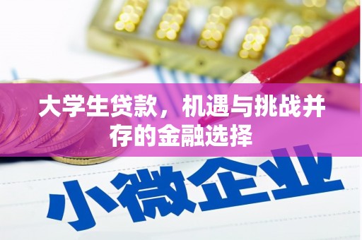 沈丘大学生贷款，机遇与挑战并存的金融选择