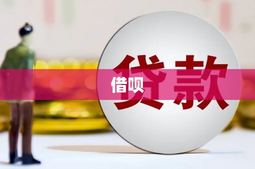 沈丘借呗