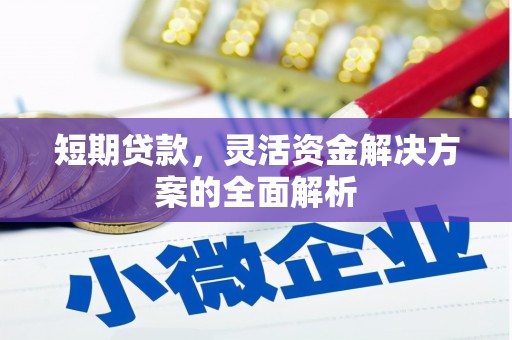 沈丘短期贷款，灵活资金解决方案的全面解析