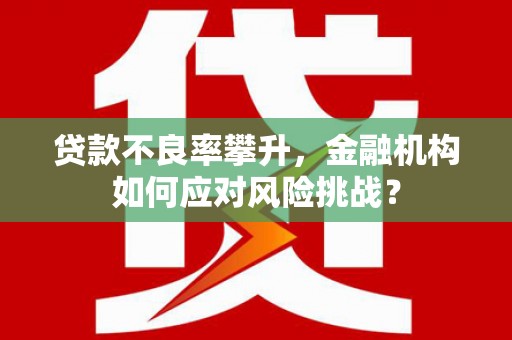 沈丘贷款不良率攀升，金融机构如何应对风险挑战？