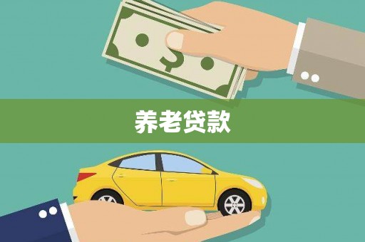 沈丘养老贷款