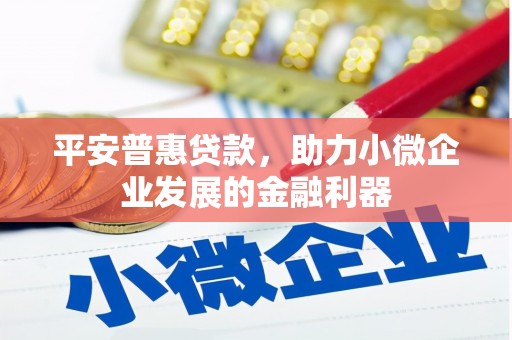 沈丘平安普惠贷款，助力小微企业发展的金融利器
