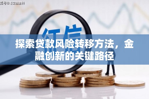 沈丘探索贷款风险转移方法，金融创新的关键路径