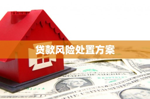 沈丘贷款风险处置方案