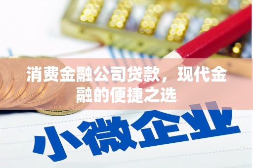 沈丘消费金融公司贷款，现代金融的便捷之选