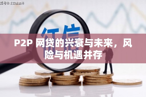沈丘P2P 网贷的兴衰与未来，风险与机遇并存