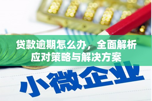 沈丘贷款逾期怎么办，全面解析应对策略与解决方案