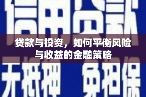 沈丘贷款与投资，如何平衡风险与收益的金融策略