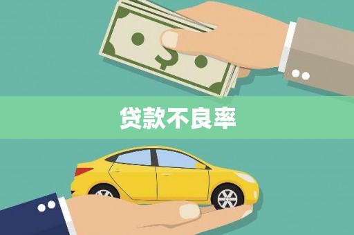 沈丘贷款不良率