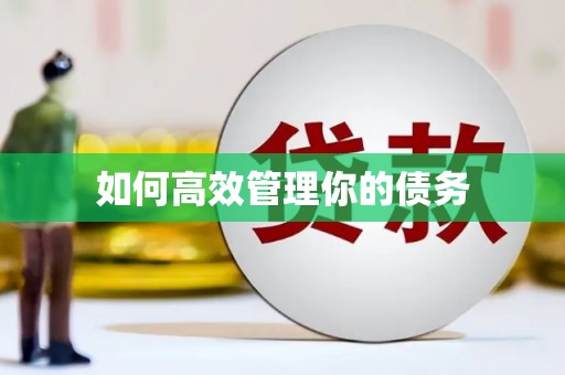 沈丘如何高效管理你的债务