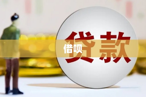 沈丘借呗