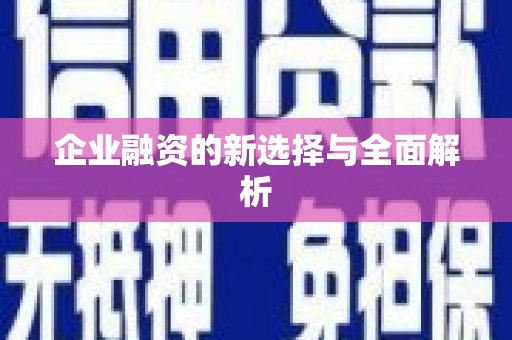 沈丘企业融资的新选择与全面解析