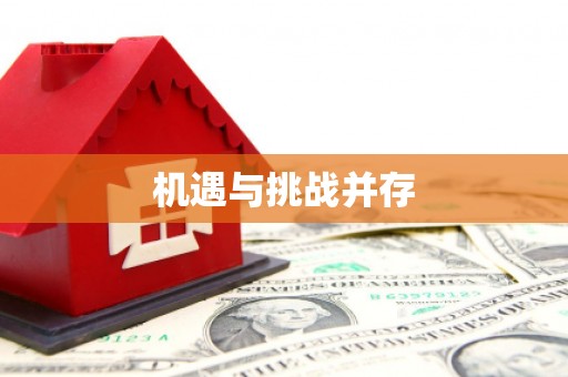 沈丘机遇与挑战并存