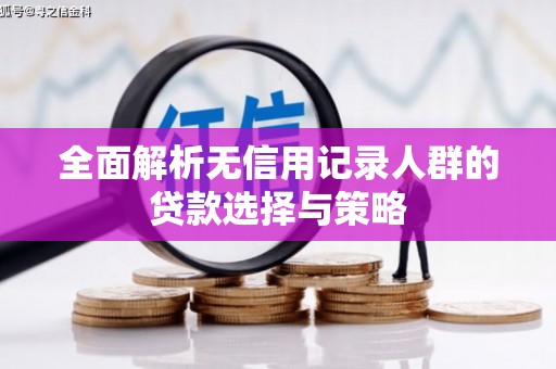 沈丘全面解析无信用记录人群的贷款选择与策略