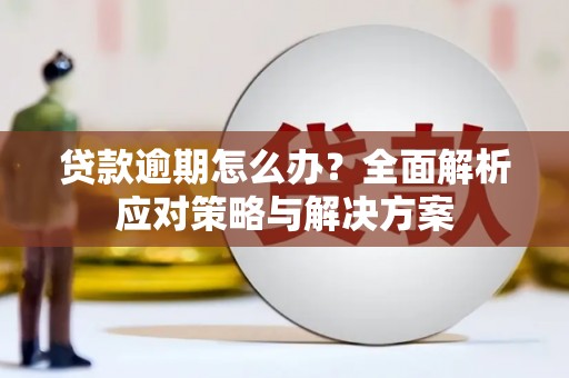 沈丘贷款逾期怎么办？全面解析应对策略与解决方案