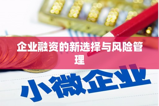 沈丘企业融资的新选择与风险管理