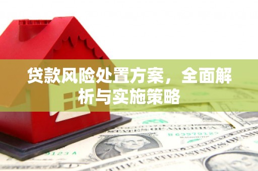 沈丘贷款风险处置方案，全面解析与实施策略