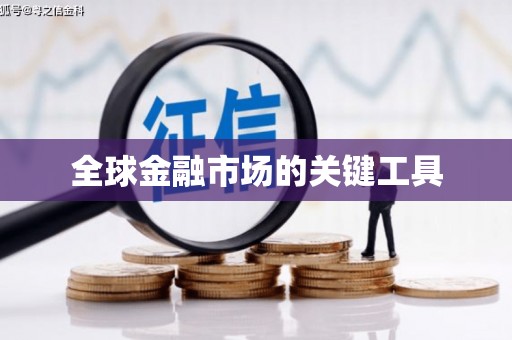 沈丘全球金融市场的关键工具