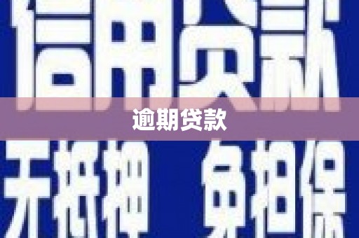 沈丘逾期贷款