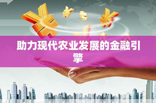 沈丘助力现代农业发展的金融引擎