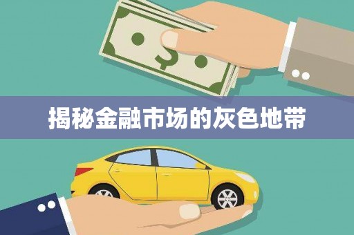 沈丘揭秘金融市场的灰色地带