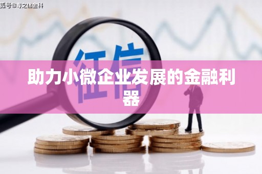 沈丘助力小微企业发展的金融利器