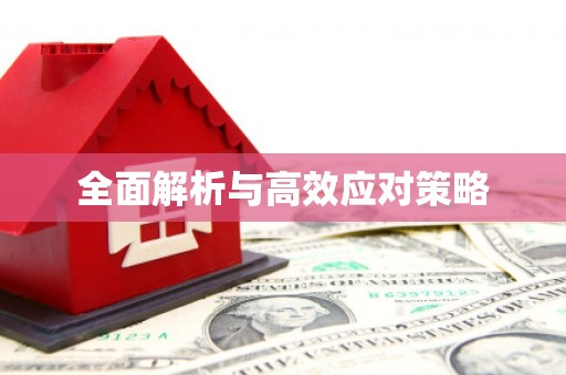 沈丘全面解析与高效应对策略