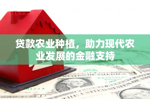 沈丘贷款农业种植，助力现代农业发展的金融支持